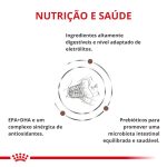 4ACC VDF GASTROINTESTINAL FIBRE RESPONSE FELINE