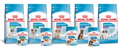 Alimentos Royal Canin para cães filhotes