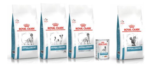 linha Hypoallergenic da Royal Canin