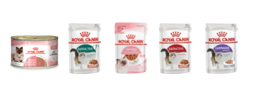 Ra&ccedil;&otilde;es Royal Canin indicadas para suplementa&ccedil;&atilde;o de taurina em gatos