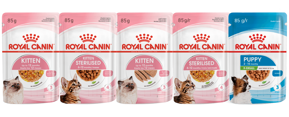 Lan&ccedil;amentos Royal Canin para filhotes