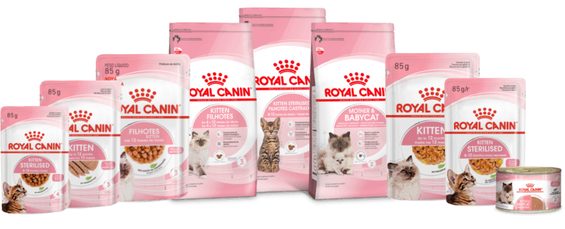 Alimentos Royal Canin para c&atilde;es que d&atilde;o suporte &agrave;s vacinas para filhotes