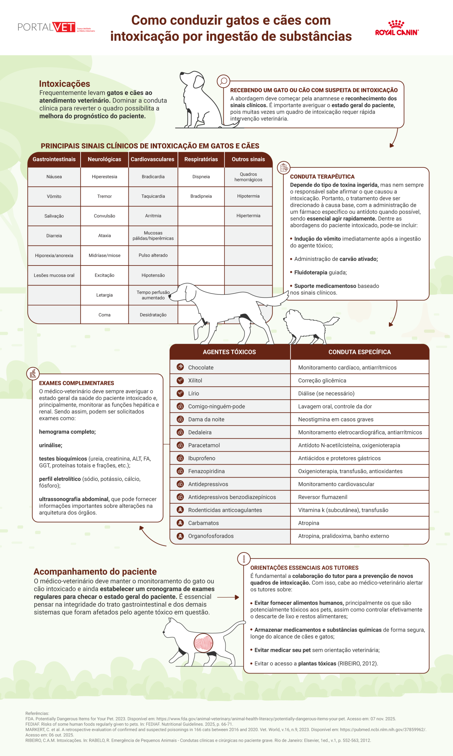 Infográfico reúne as principais informações sobre intoxicação por ingestão de plantas e outras substâncias