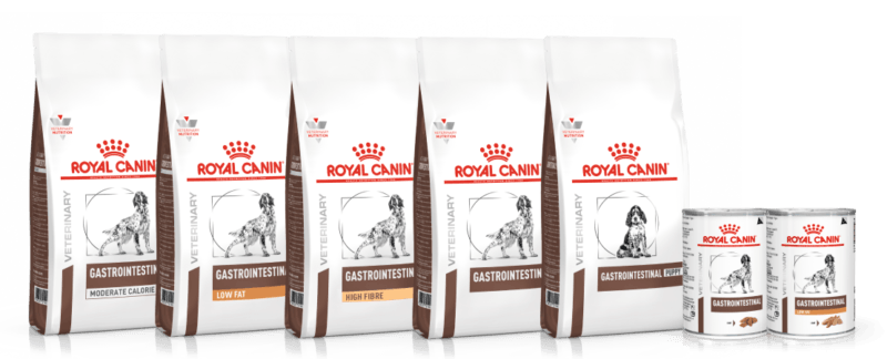 Linha Gastrointestinal para c&atilde;es