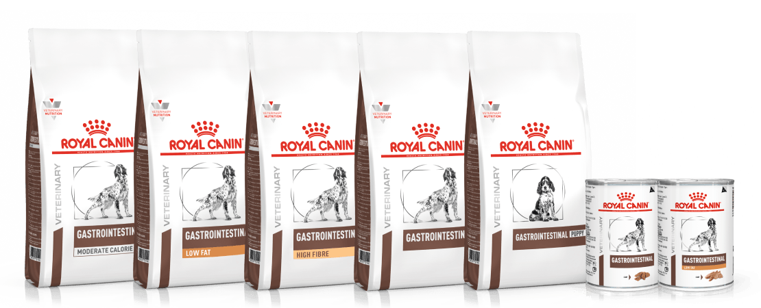 Linha Gastrointestinal para c&atilde;es
