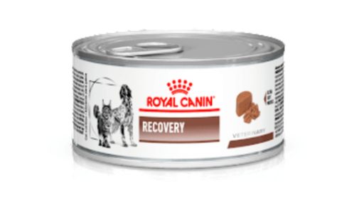 Enabalagem do alimento Royal Canin Recorery, indicado para casos de convalesc&ecirc;ncia
