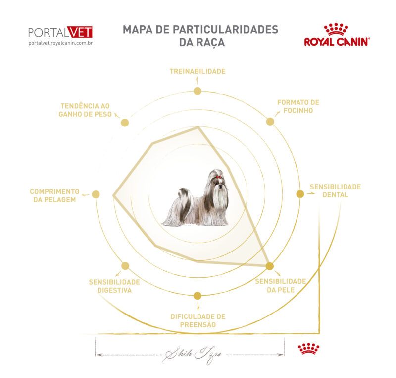 Infográfico com as características de cão da raça Shih Tzu