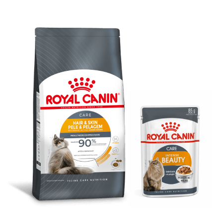 Alimento Royal Canin Hair & Skin, voltado para o cuidado com pele e pelos de felinos como o Ragdoll