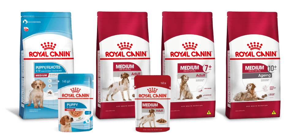 Linha de alimentos Royal Canin para c&atilde;es de porte m&eacute;dio