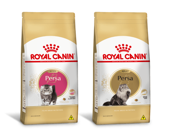 Alimentos Royal Canin para ra&ccedil;a de gato Persa
