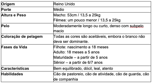 Tabela resume as caracter&iacute;sticas do c&atilde;o da ra&ccedil;a Border Collie