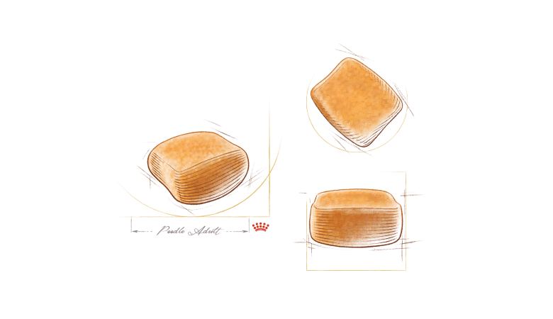 Croquetes de alimento Royal Canin para cães da raça Poodle