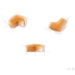 Croquetes do alimento Royal Canin para cães da raça Shih Tzu