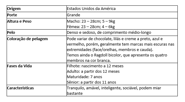 Tabela das principais caracter&iacute;sticas da ra&ccedil;a felina Ragdoll