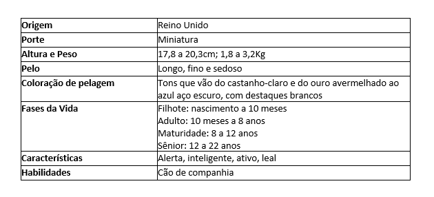 Tabela com as principais caracter&iacute;sticas da ra&ccedil;a canina Yorkshire Terrier
