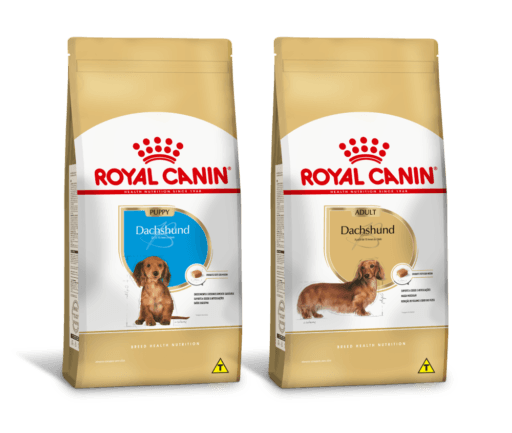 Alimentos Royal Canin para cães da raça dachshund