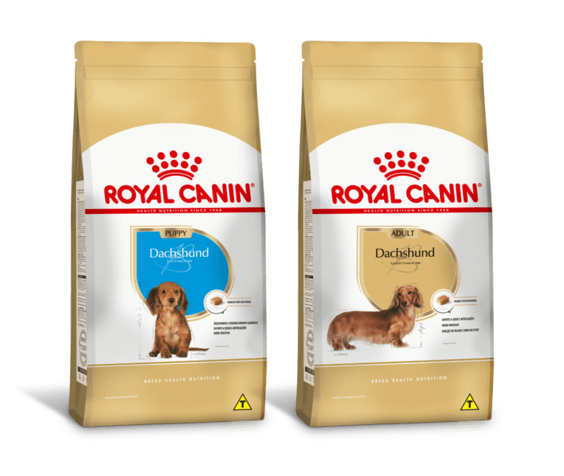 Alimentos Royal Canin para c&atilde;es da ra&ccedil;a dachshund