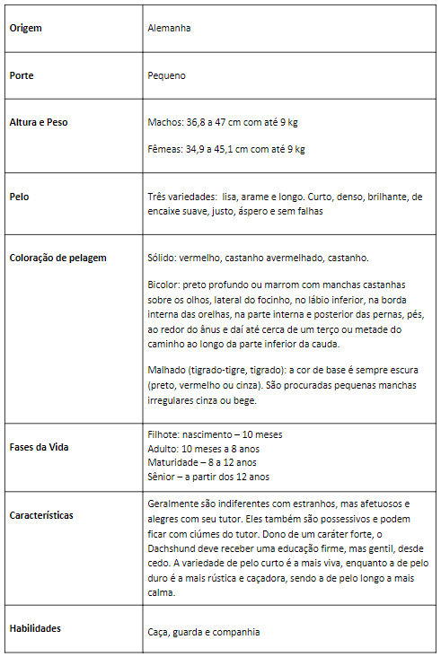 tabela de caracter&iacute;sticas da ra&ccedil;a dashchund