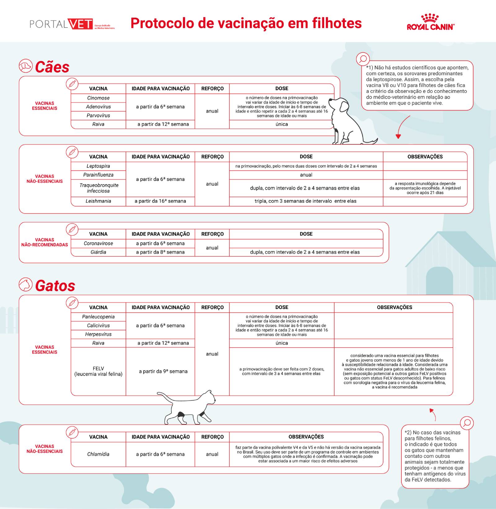 Protocolo de vacinas para filhotes
