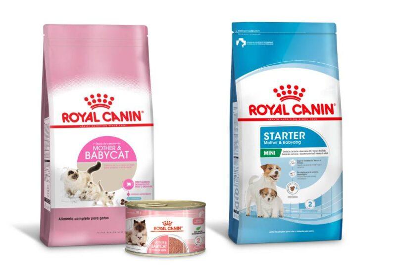 Alimentos para filhotes de gatos e c&atilde;es com polifagia