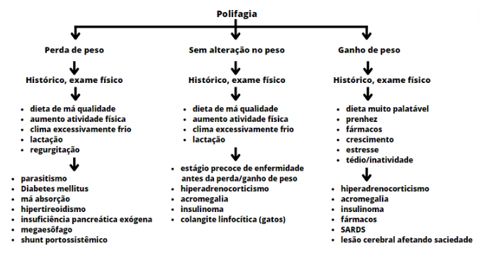 Poligafia em c&atilde;es e gatos