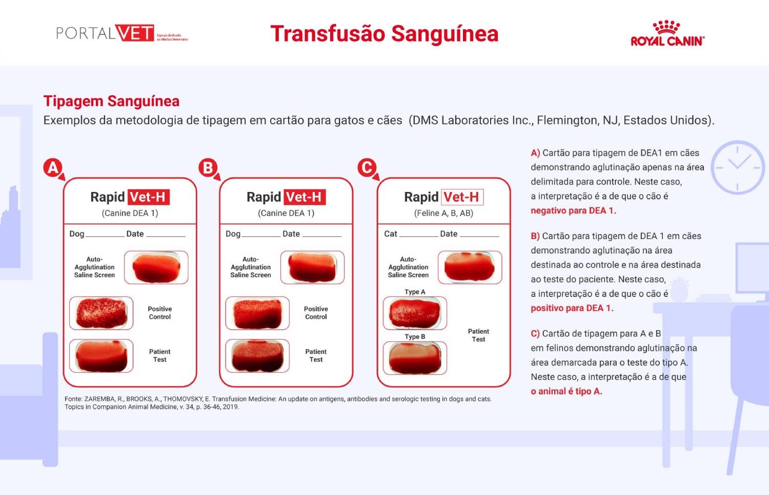 Infogr&aacute;fico de tipagem sangu&iacute;nea em transfus&atilde;o sangu&iacute;nea em c&atilde;es e gatos