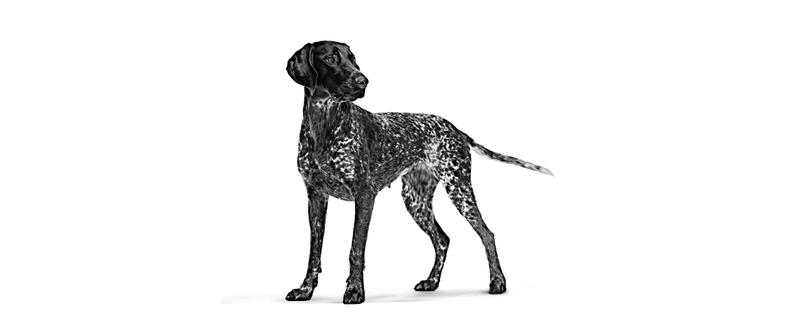 Alt image