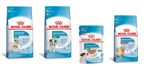 Linha Puppy Shnauzer da Royal Canin