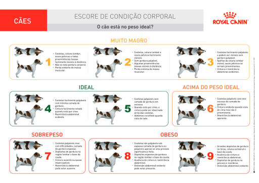 Tabela de escore de condição corporal canino Royal Canin, escala de 1 a 9