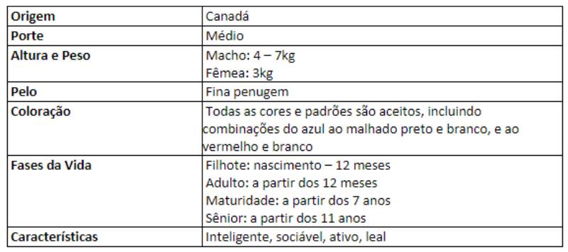 Caracter&iacute;sticas do gato Sphynx