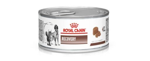 embalagem do alimento &uacute;mido Recovery