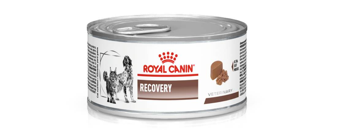 Embalagem do alimento Recovery da Royal Canin. Ele pode ser usado em pacientes com hidronefrose.