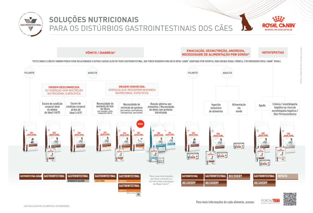 &aacute;rvore decis&oacute;ria alimenta&ccedil;&atilde;o Royal Canin para c&atilde;es