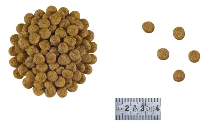 Croquetes do alimento Gastrointestinal Low Fat Small Dog