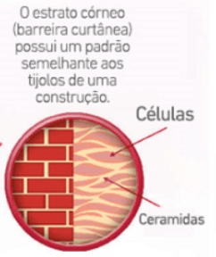 Ilustração da barreira cutânea, que atua na termorregulação do animal.