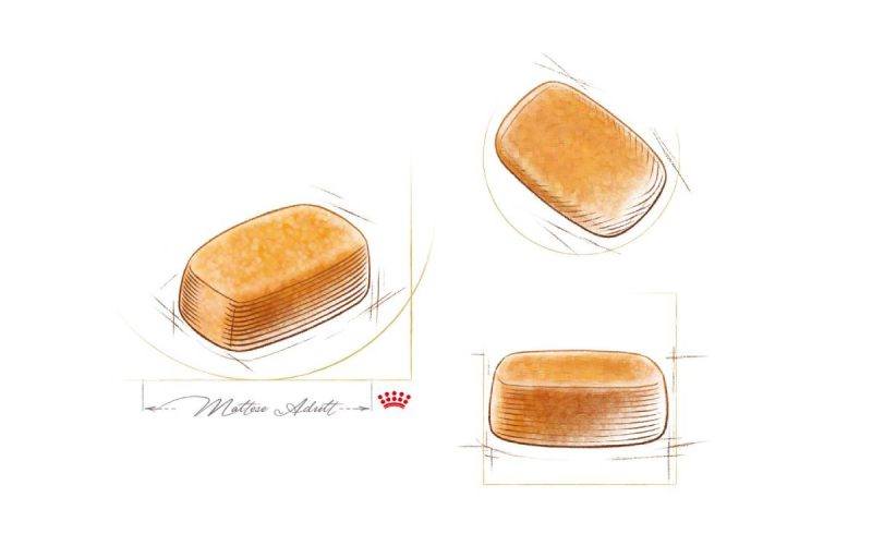 Croquetes do alimento Royal Canin para a ra&ccedil;a canina Malt&ecirc;s