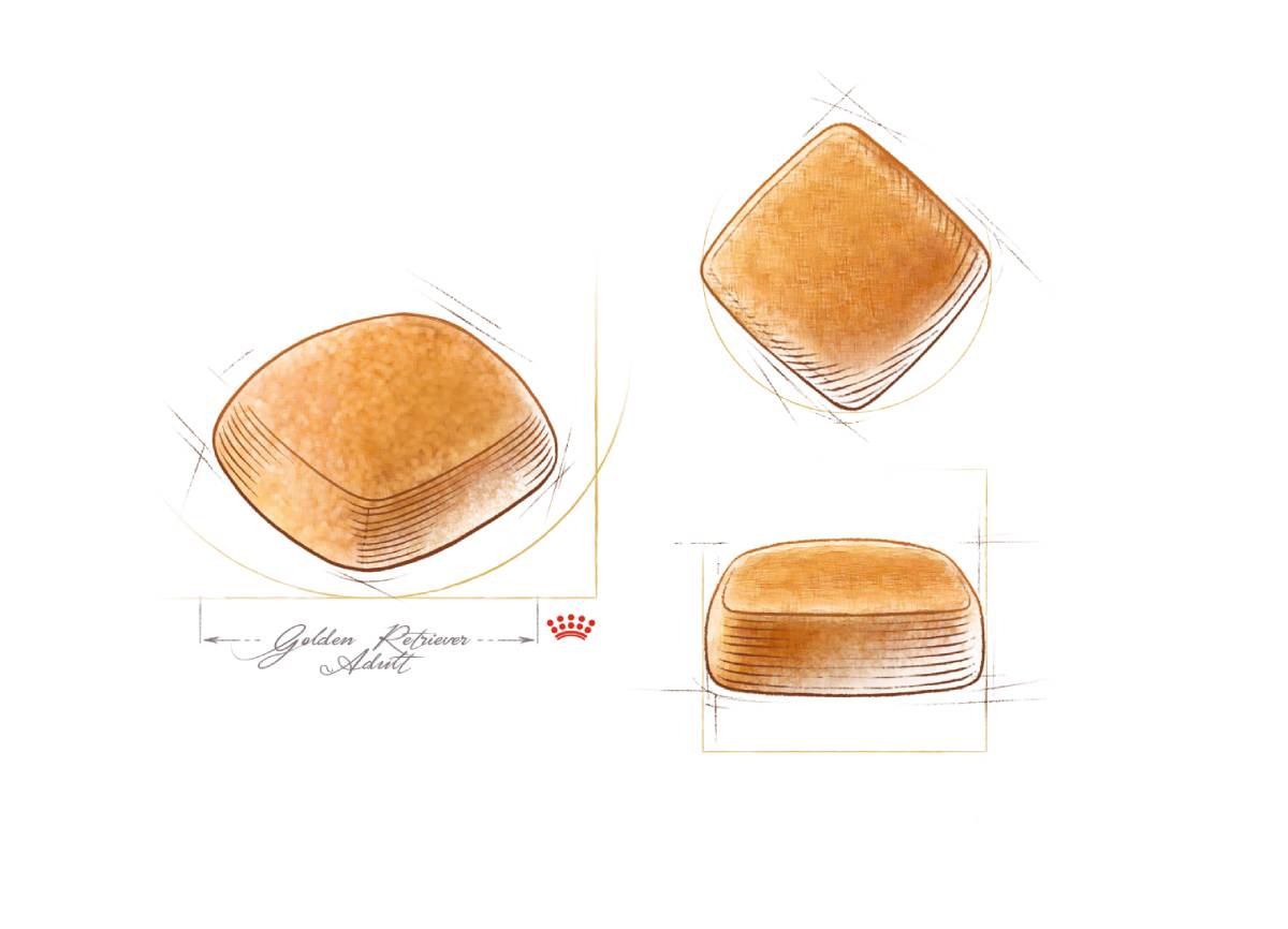 Croquetes do alimento Royal Canin para cães da raça Golden Retriever