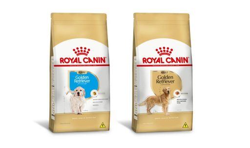 Alimentos Royal Canin para c&atilde;es da ra&ccedil;a Golden Retriever