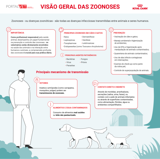Infográfico sobre zoonoses, com definição, principais doenças em cães e gatos, agentes patogênicos, formas de transmissão e medidas de prevenção, ilustrado com médico-veterinário, cão e gato.