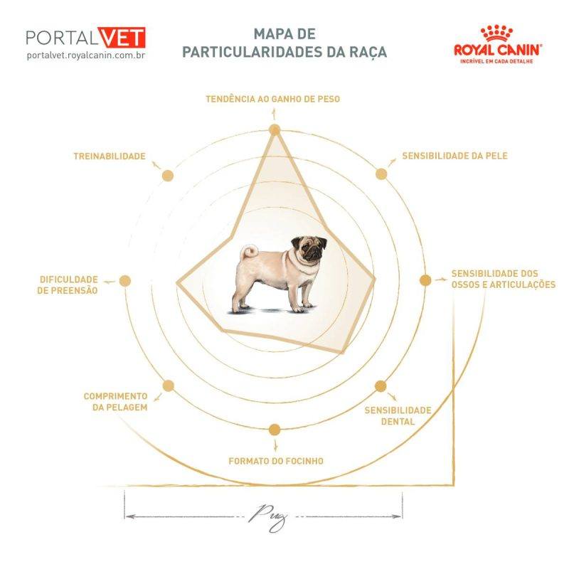 Mapa de particularidades f&iacute;sicas da ra&ccedil;a Pug