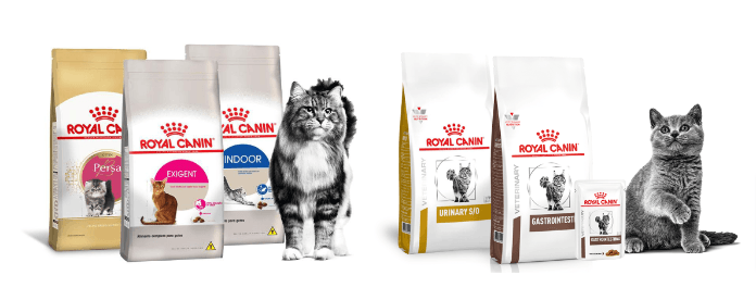 Linha de alimentos para felinos Royal Canin
