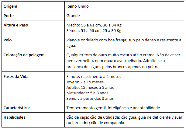 Tabela de caracter&iacute;sticas da ra&ccedil;a canina Golden Retriever