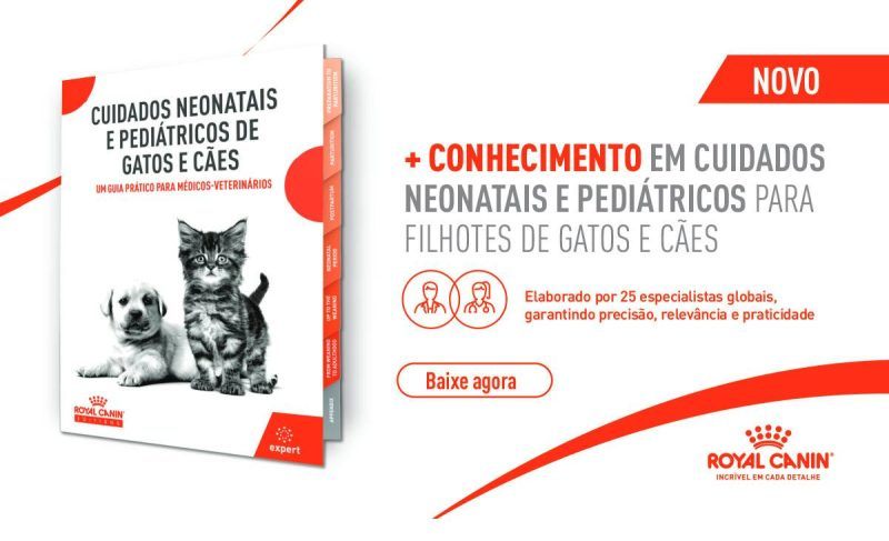 Banner Guia Neonatos 2024