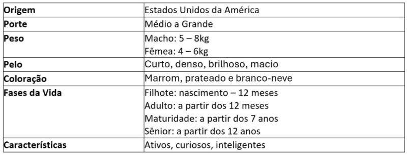 Tabela de caracter&iacute;sticas do gato Bengal