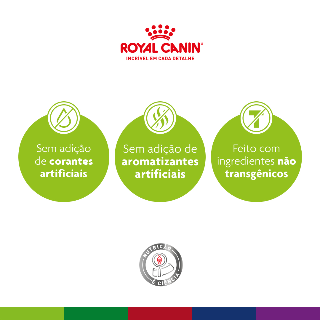 Mini Indoor Adult - Portal Vet | Royal Canin