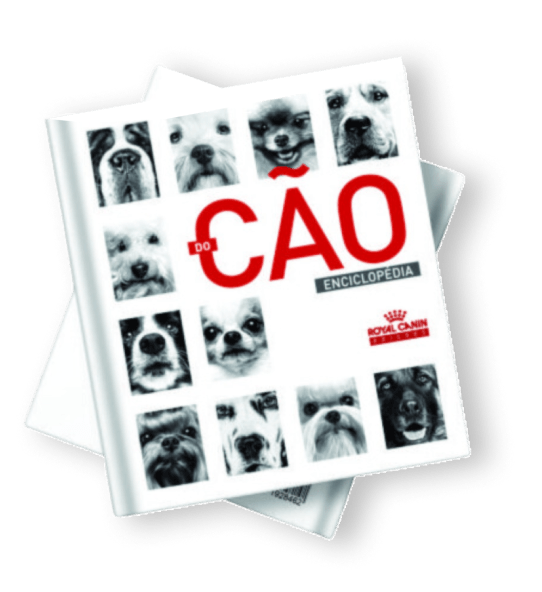 Guide book