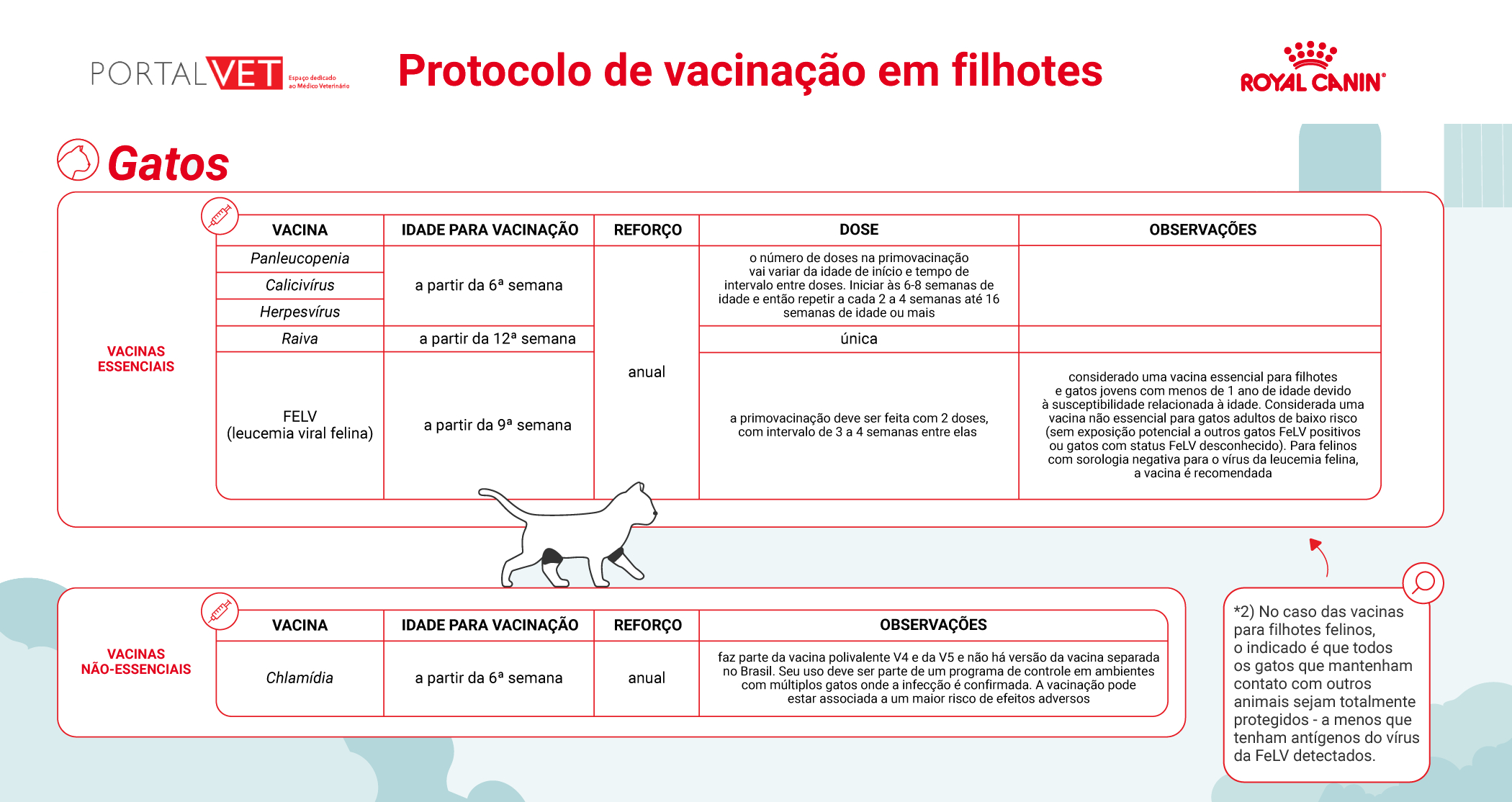 Infogr&aacute;fico mostra calend&aacute;rio de vacina&ccedil;&atilde;o do gato filhote