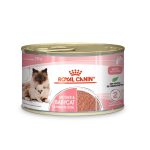 mother baby cat royal canin