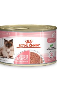 mother baby cat royal canin