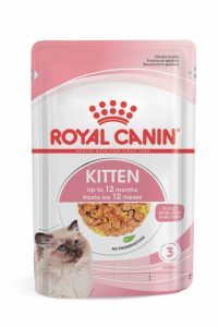 1ACC FHN KITTEN JELLY WET 85G 1